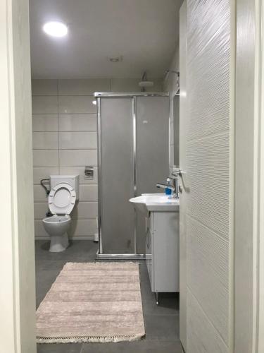 新帕扎尔Green Apartment的浴室配有卫生间、淋浴和盥洗盆。