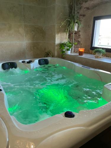 Lens-Lestang索恩城堡住宿加早餐旅馆的浴室设有装满绿水的浴缸