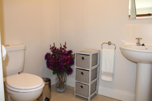 肯梅尔Cosy Holidayhomes Kenmare的一间带卫生间、水槽和鲜花的浴室