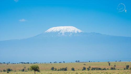 安博塞利Amanya Double Pitch Tent with Mt Kilimanjaro View的田野中间的山