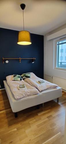 罗瓦涅米City center apartment with sauna, Rovakatu 13的一间卧室配有一张蓝色墙壁的床