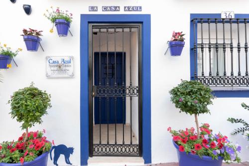 EsteponaCASA AZUL - Boutique Apartments by Casa del Patio的白色建筑中一扇蓝色门,上面有盆栽植物