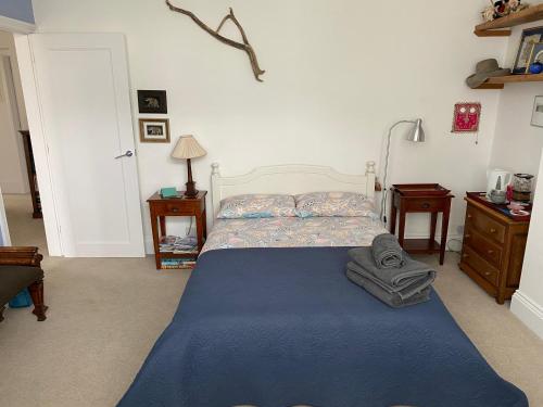 基督城No Car Needed的一间卧室配有一张带蓝色毯子的床