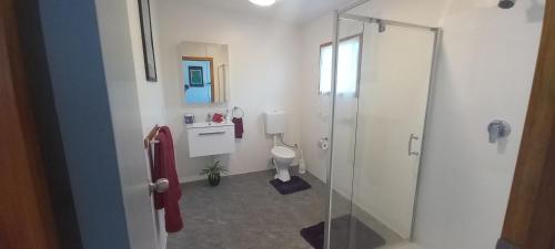 拉罗汤加Tropical Retreat Rarotonga的一间带玻璃淋浴和卫生间的浴室