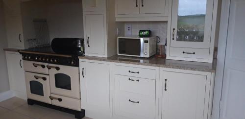 ArvaghSHALOM - IN THE HEART OF THE LAKES的厨房配有白色橱柜、炉灶和微波炉。
