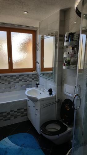 沙夫豪森Schaffhausen Munot的浴室配有盥洗盆、卫生间和浴缸。