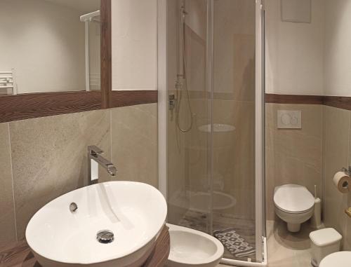 莫埃纳Post Hotel Moena的一间带水槽、淋浴和卫生间的浴室