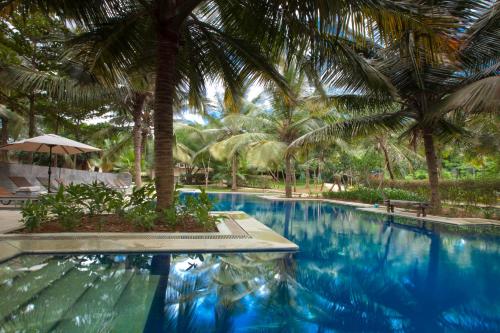 Begūr士乃卡碧尼度假村的度假村内棕榈树游泳池