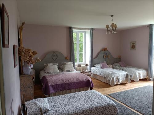 Bazoges-en-PaillersLe Manoir "Aux Douves"的一间卧室设有两张床和窗户。