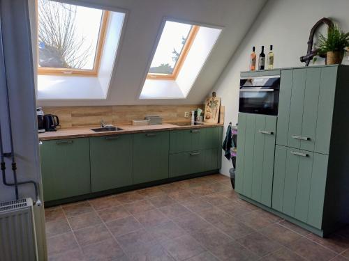 NiawierGrytmanshoeve, Vakantiehuis met glamping的带绿色橱柜和2扇窗户的厨房