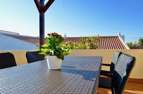 曼塔罗塔Villa ELTAEL - Rita Apartment - Warm pool until 5 Nov 2024的阳台上的桌子上放着盆栽植物