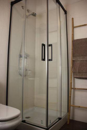 阿维拉El museo的一间带卫生间的浴室内的玻璃淋浴间
