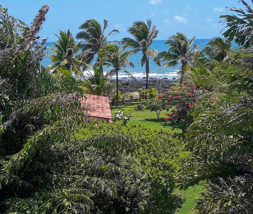 尼西亚弗洛雷斯塔COMPLEJO PONTA das BRILLES DUPLEX的享有棕榈树和海滩度假村的景色