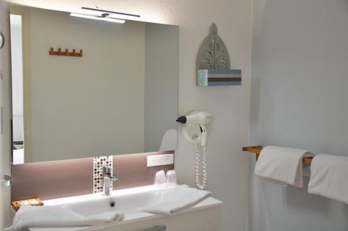 Soings-en-SologneLogis Hôtel Restaurant LE VIEUX FUSIL的一间带水槽和镜子的浴室