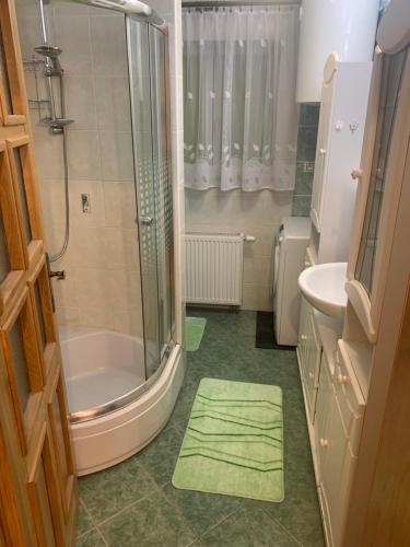 捷克布杰约维采Apartmán Slunečnice s terasou的带淋浴和盥洗盆的浴室