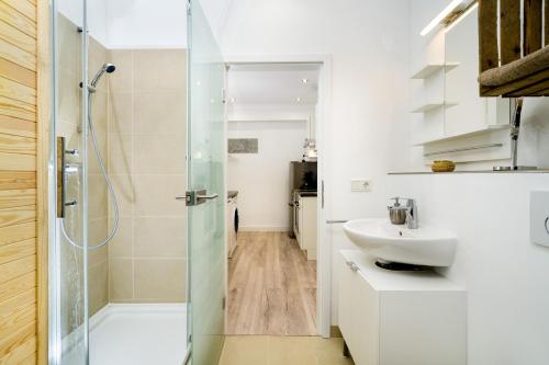 柏林Budget Studio Kreuzberg - Lachmannstr 3 HH的带淋浴和盥洗盆的浴室