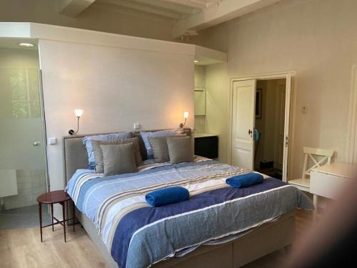维里Tuinkamer in Monumentaal pand的一间卧室配有一张大床和蓝色枕头