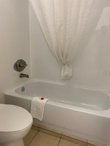 布伦瑞克布伦瑞克戴斯酒店的浴室设有卫生间和浴缸及窗帘