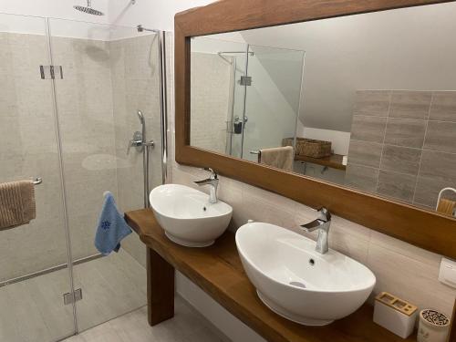 NurW Łęgu Natury的浴室设有2个盥洗盆和带镜子的淋浴。