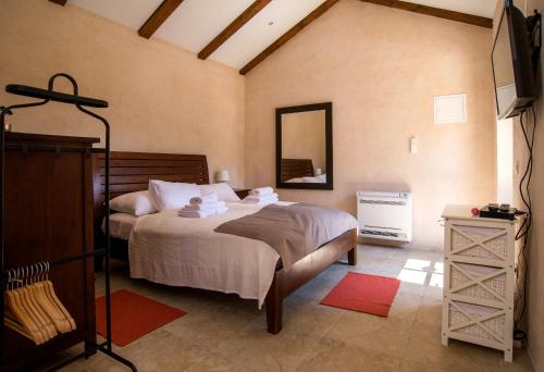 洛帕德Villa Lopud In Dubrovnik的一间卧室配有一张大床和镜子