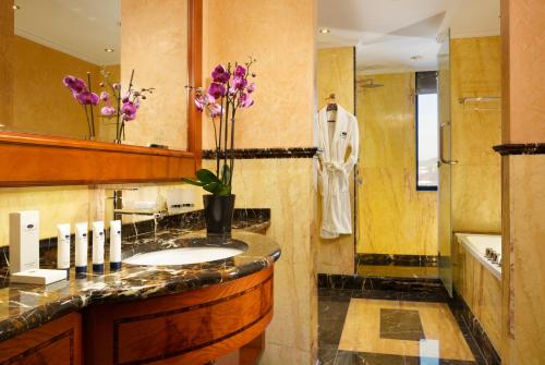 普里什蒂纳瑞士钻石酒店的一间浴室