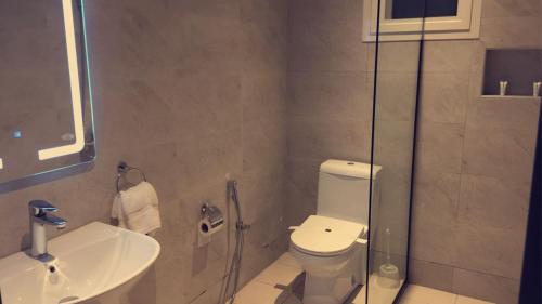 利雅德Voyage Apartments的一间带卫生间和水槽的浴室