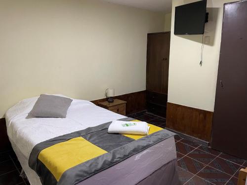 巴耶纳尔Hostal CECIL +的一间卧室配有一张床和一台平面电视