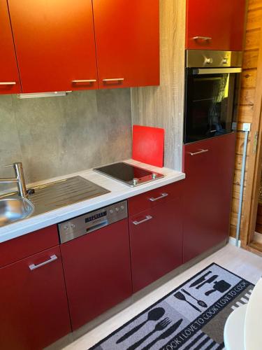 BorstelHuck’s Ferienhäuser的一间厨房,里面装有红色橱柜和红色椅子