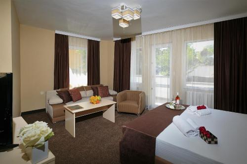 普罗夫迪夫HOTEL THE WHITE HOUSE Plovdiv的酒店客房设有床和客厅。