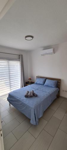 皮拉Lovely 1betroom apartment near the beach的一间卧室配有一张带蓝色毯子的床