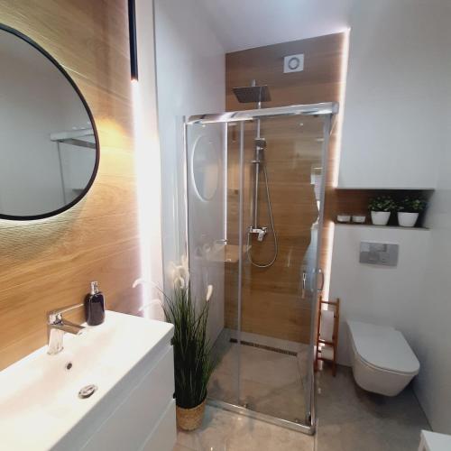 兹沃图夫Lux Apartment parking gratis的带淋浴、卫生间和盥洗盆的浴室