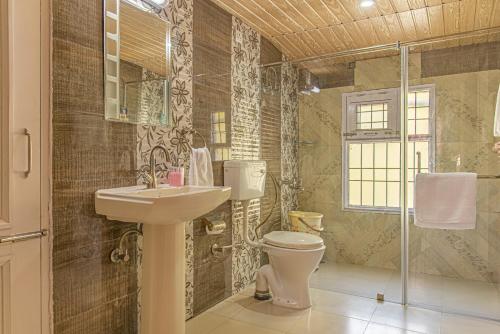 卡绍利The Green Heights Cottage Kasauli的一间带卫生间和水槽的浴室
