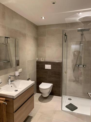 贝尔恩卡斯特尔-库斯Weinrebe的浴室配有卫生间、盥洗盆和淋浴。