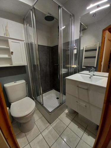 勒蒙多尔Appartement Mont Dore tout confort, 2 pièces, 4 personnes的带淋浴、卫生间和盥洗盆的浴室