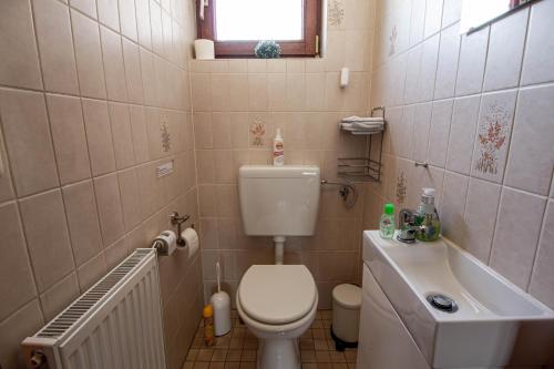 费马恩Lütt Hus Erna的一间带卫生间和水槽的小浴室