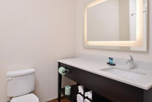 亨博尔Americas Inn & Suites IAH North的一间带水槽、卫生间和镜子的浴室