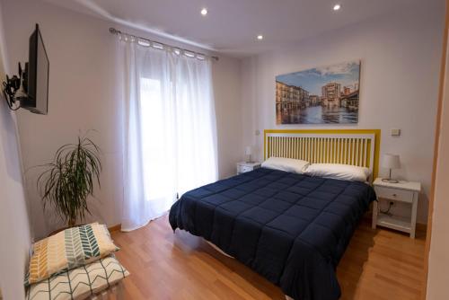 索里亚Herradores Centro的一间卧室设有蓝色的床和窗户。