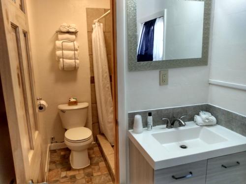 布拉夫莫奇汽车旅馆的一间带卫生间、水槽和镜子的浴室