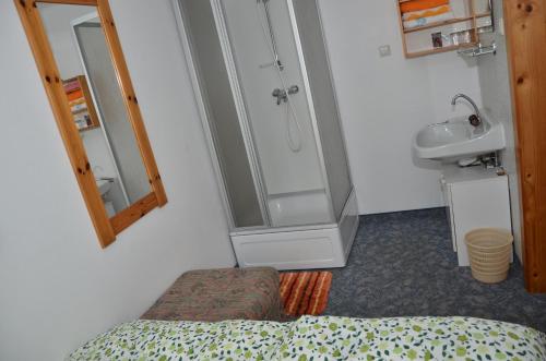 蓬高地区埃本德西单辛尼泽酒店的带淋浴、床和盥洗盆的浴室