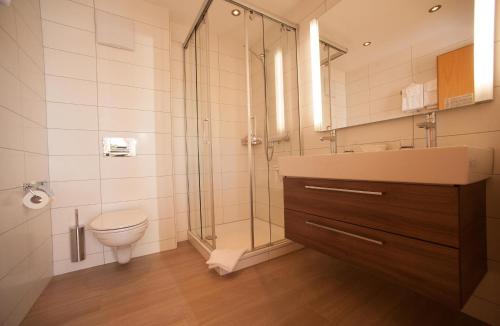 贝特默阿尔卑阿莱奇酒店 的带淋浴、卫生间和盥洗盆的浴室