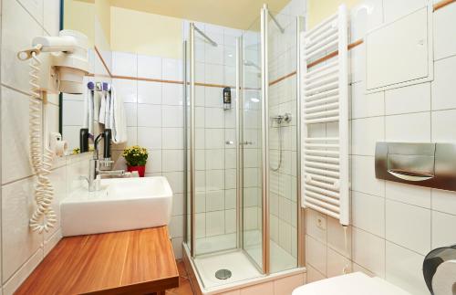 纽伦堡厄尔彻酒店的一间带水槽和淋浴的浴室