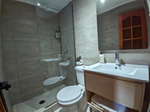 皮奇勒姆Hotel Mar & Vino的浴室配有卫生间、盥洗盆和淋浴。