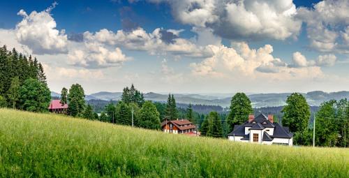 旧哈姆里Bezručova škola的绿草丛生的山丘上的一群房子