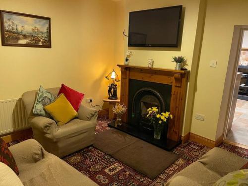 斯莱戈Grogagh Hill Cottage的客厅配有沙发和带电视的壁炉。