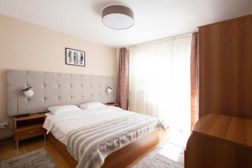 比斯特里察21 Cozy Apartament的一间卧室设有一张大床和一个窗户。