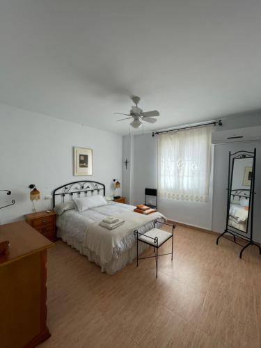 CarchelejoCasa de la Cañada - piso completo的一间卧室配有一张床和吊扇