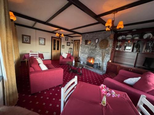 伊尼什莫尔岛Ard Einne House Bed & Breakfast的客厅配有粉色家具和壁炉