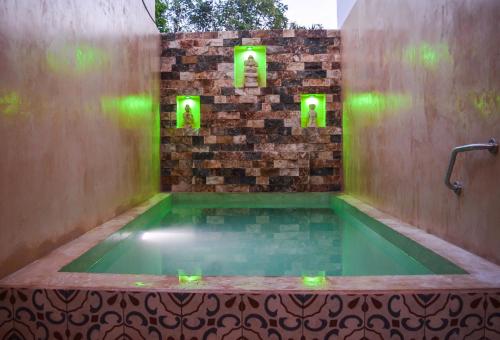 巴利亚多利德Apartamentos Dsiena Valladolid的砖墙上带绿灯的热水浴池