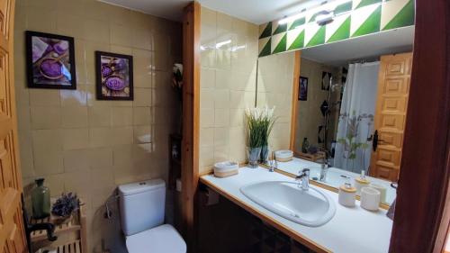 索特APARTAMENTO MUY CÉNTRICO con VISTAS - El Niuet de Sort的一间带水槽、卫生间和镜子的浴室