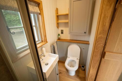 WinshamSomerset Shepherds Huts的一间带卫生间和水槽的小浴室